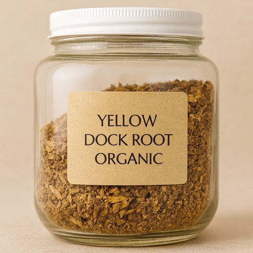 Yellow Dock Root