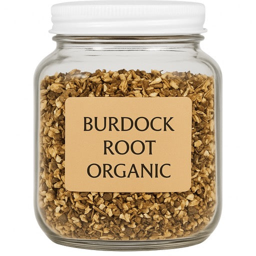 Burdock Root